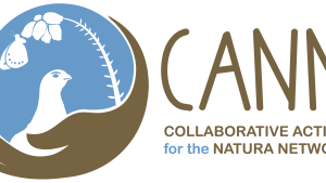 CANN project shortlisted for Innovation in Politics award